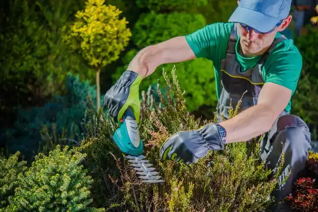 landscaping services Campbell